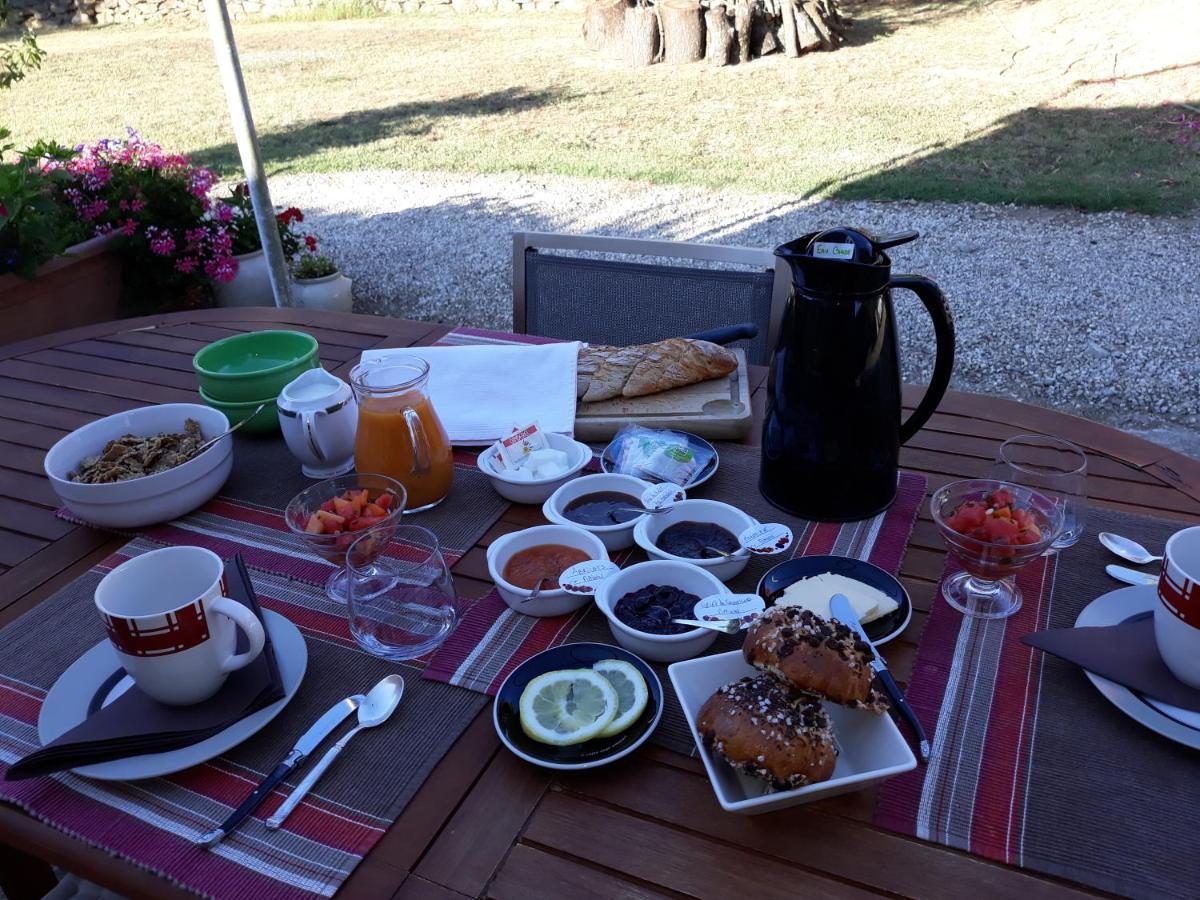 Chez Yvette , C'Est Chouette!! Bed & Breakfast Carcassonne Ngoại thất bức ảnh