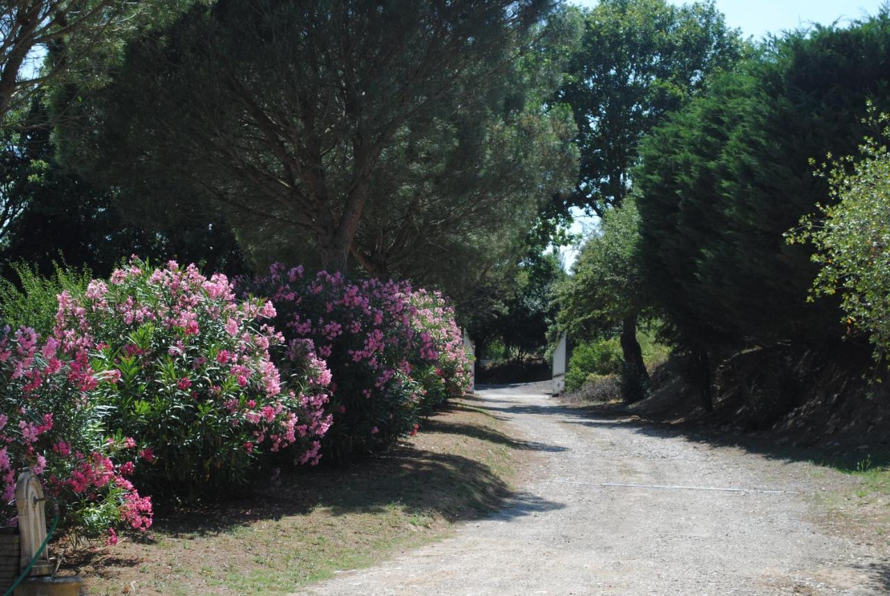 Chez Yvette , C'Est Chouette!! Bed & Breakfast Carcassonne Ngoại thất bức ảnh